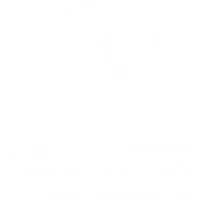 Marine Megafauna Foundation